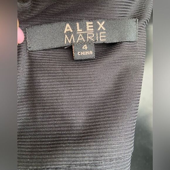 Alex Marie “Cherre” Velvet 3/4 Sleeve Black Dress With Stripes, Size 4 - Picture 5 of 10